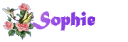 Sophie
